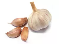 Garlic - Grow it yourself