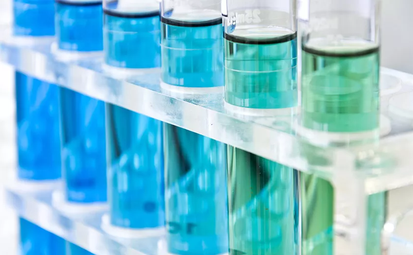 Die Bedeutung der Wasserqualität für den Pflanzenanbau mit mineralischer Düngung