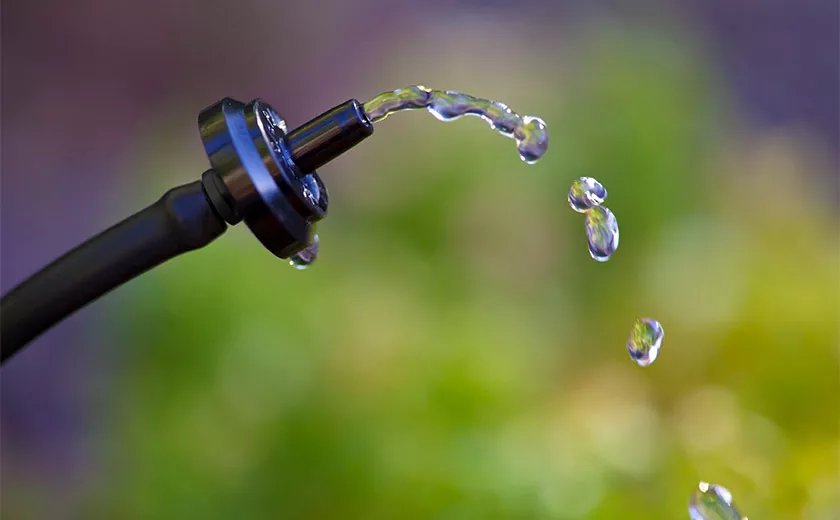 Die Bedeutung der Wasserqualität für den Pflanzenanbau mit mineralischer Düngung