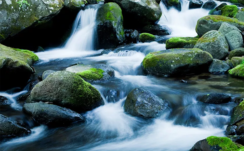 Die Bedeutung der Wasserqualität für den Pflanzenanbau mit mineralischer Düngung