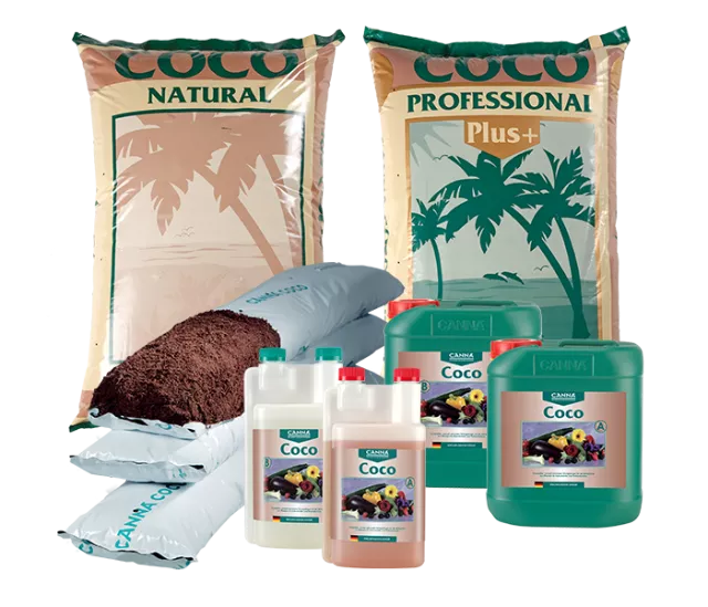CANNA COCO