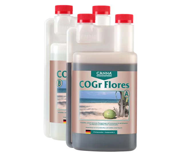 CANNA COGr Flores