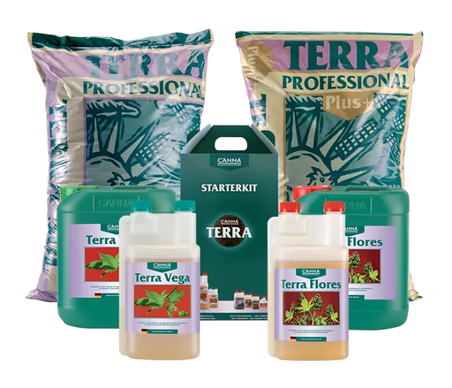 CANNA TERRA
