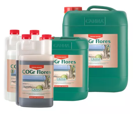 CANNA COGr Flores
