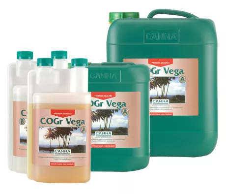 CANNA COGr Vega