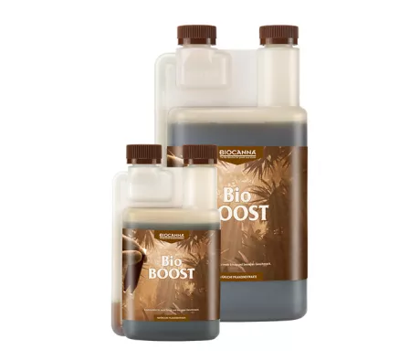 BioBOOST