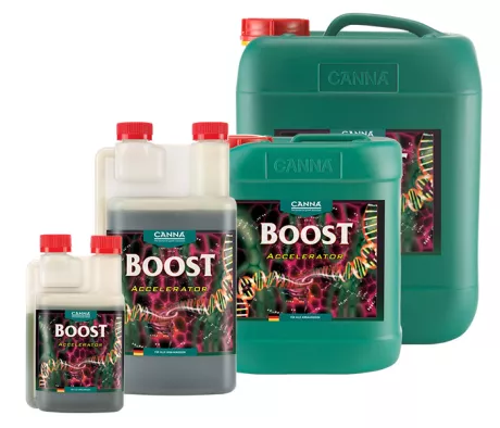 CANNABOOST Accelerator