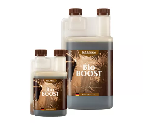 BioBOOST