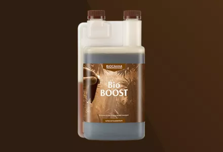 BioBOOST