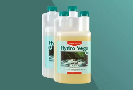 CANNA Hydro Vega