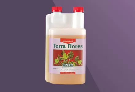 CANNA Terra Flores