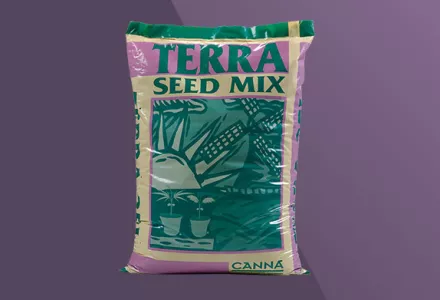 CANNA Terra Seed Mix