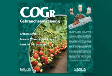 CANNA COGr Infobroschüre