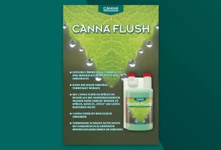 CANNA FLUSH Infobroschüre