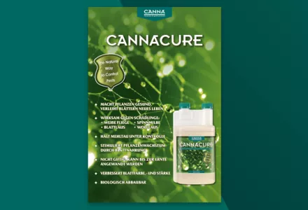 CANNACURE Infobroschüre