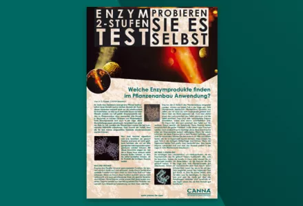 CANNAZYM 2-Stufen Test Infobroschüre