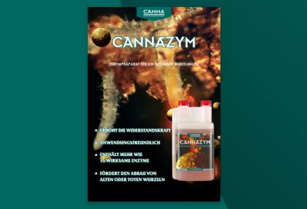 CANNAZYM Infobroschüre