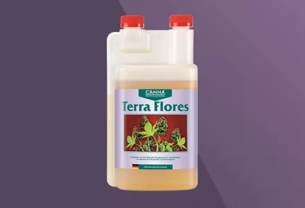 CANNA Terra Flores