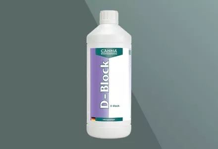 CANNA D-Block