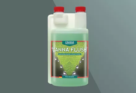 CANNA FLUSH