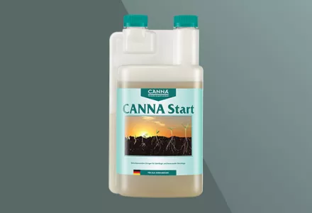 CANNA Start
