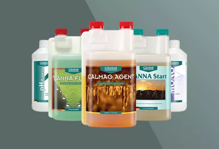 Mehr Produkte