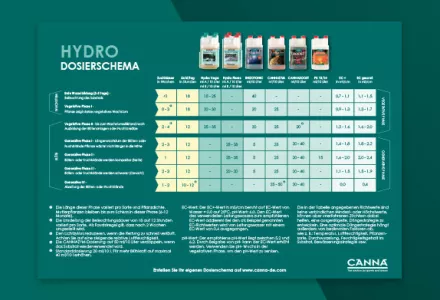 canaページ Entdrosselung X-Tre Power Box XT-K01 Healtech Kawasaki ZX-6R ZX10R