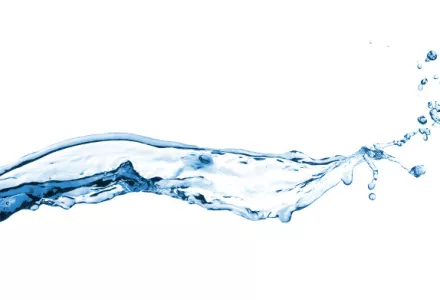 Die Bedeutung der Wasserqualität für den Pflanzenanbau mit mineralischer Düngung 
