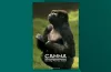 CANNA allgemeine Infobroschüre