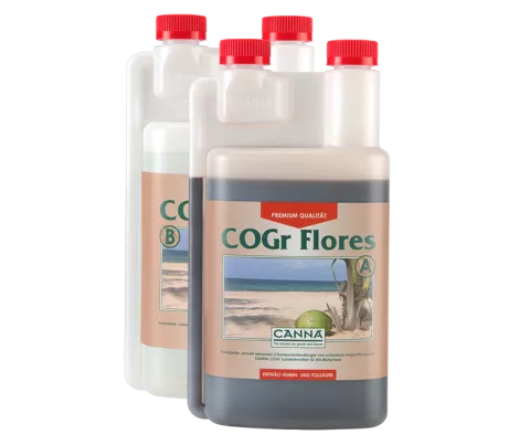 CANNA COGr Flores