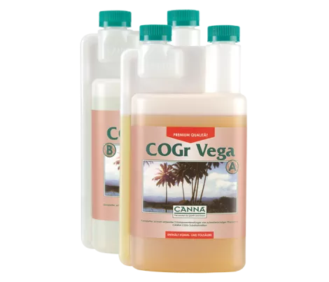 CANNA COGr Vega