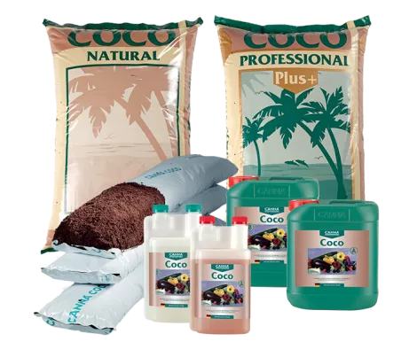 CANNA COCO