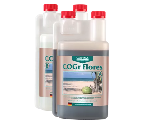 CANNA COGr Flores